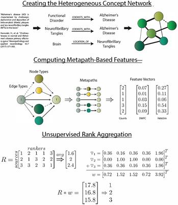 SemNet: Using <mark class="highlighted">Local Features</mark> to Navigate the Biomedical Concept Graph
